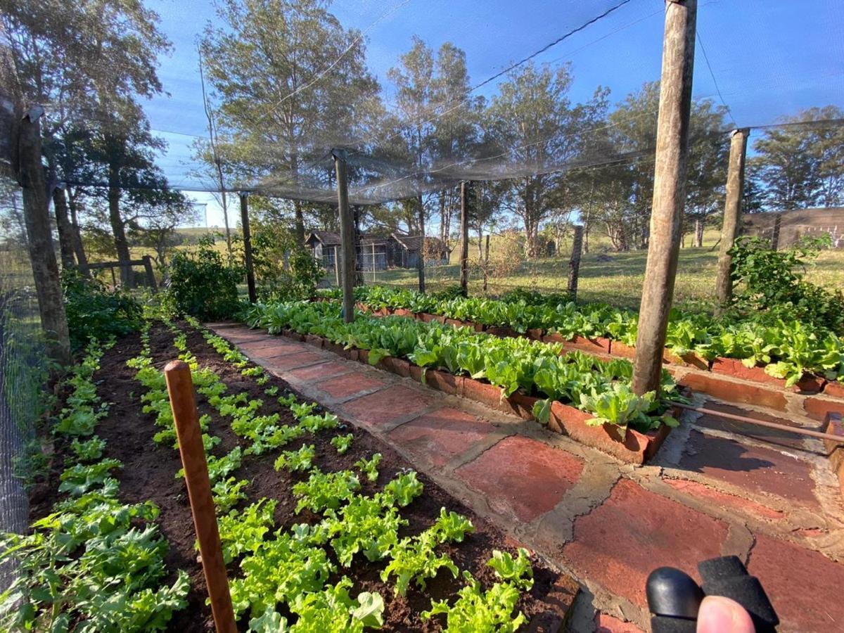 Pousada Fazenda Pinhalzinho Ribeirao Claro Екстер'єр фото