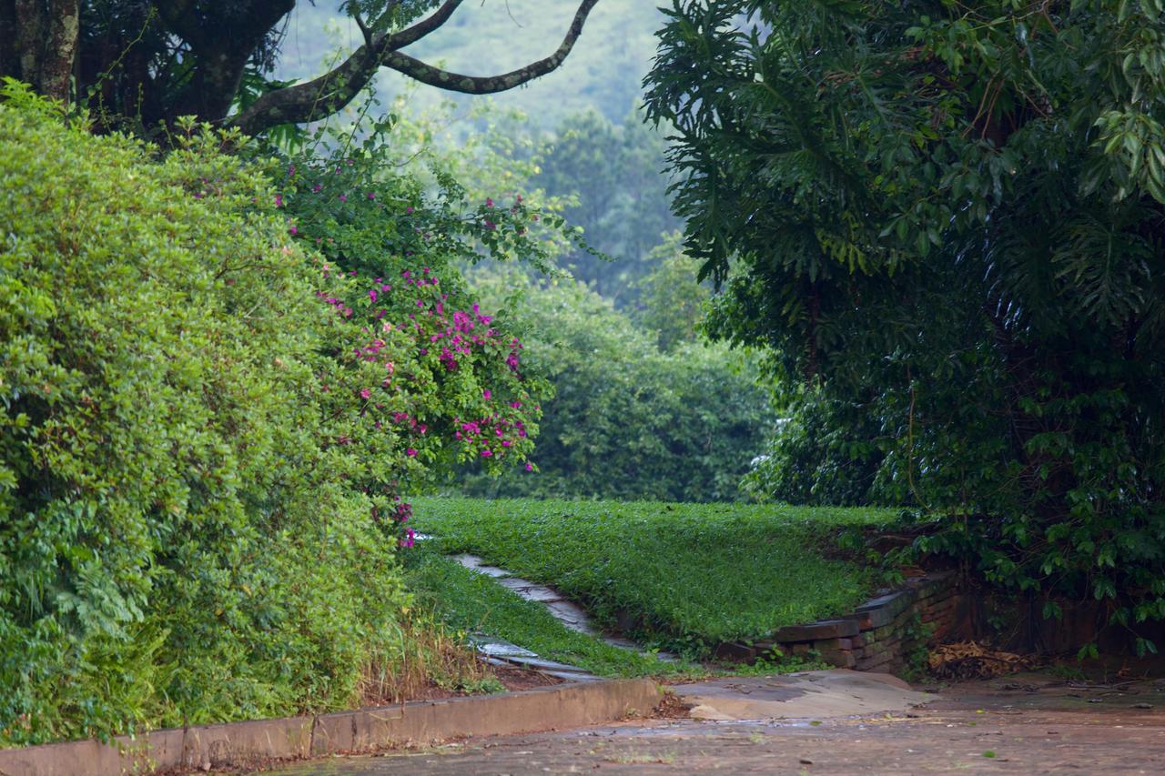Pousada Fazenda Pinhalzinho Ribeirao Claro Екстер'єр фото