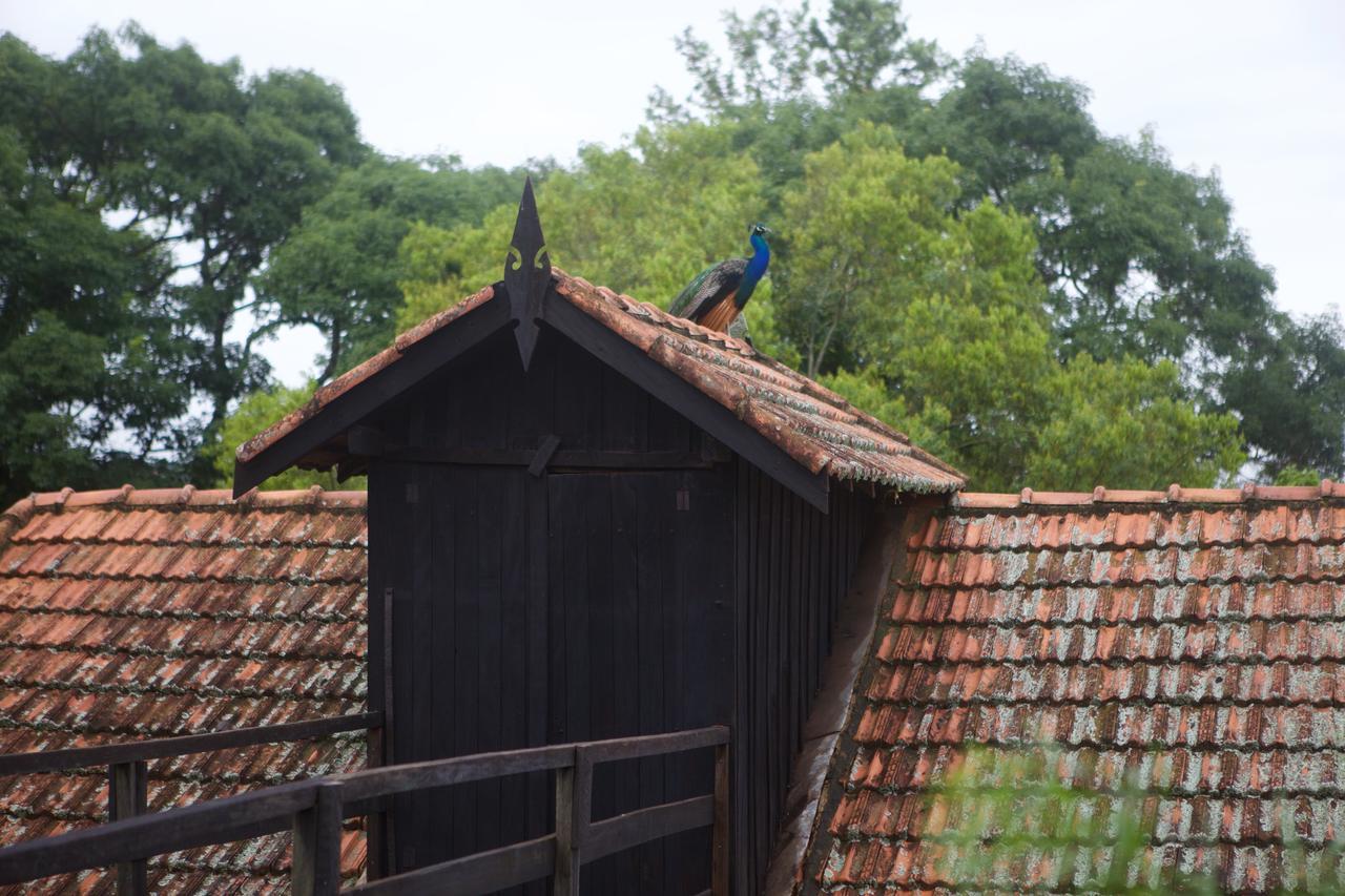 Pousada Fazenda Pinhalzinho Ribeirao Claro Екстер'єр фото